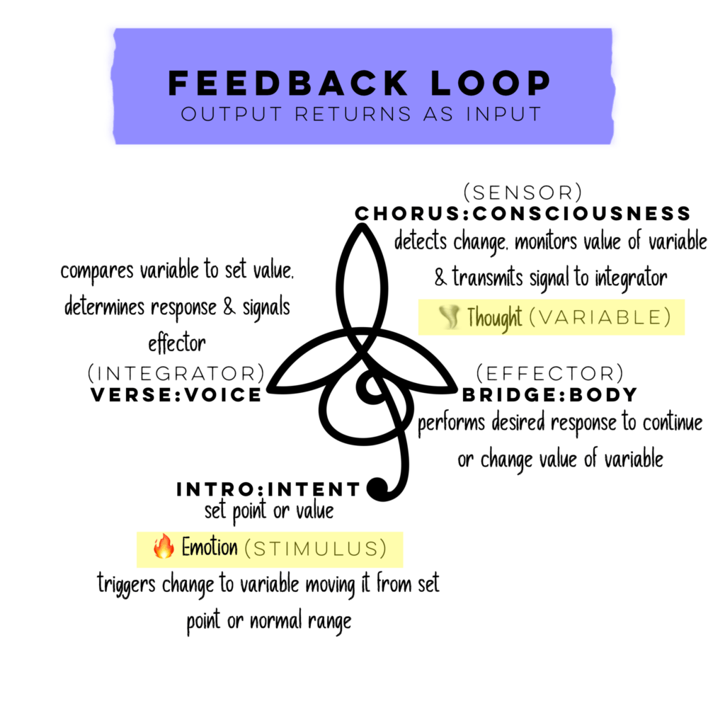 Feedback Loops are the  key to understanding the manifestation process